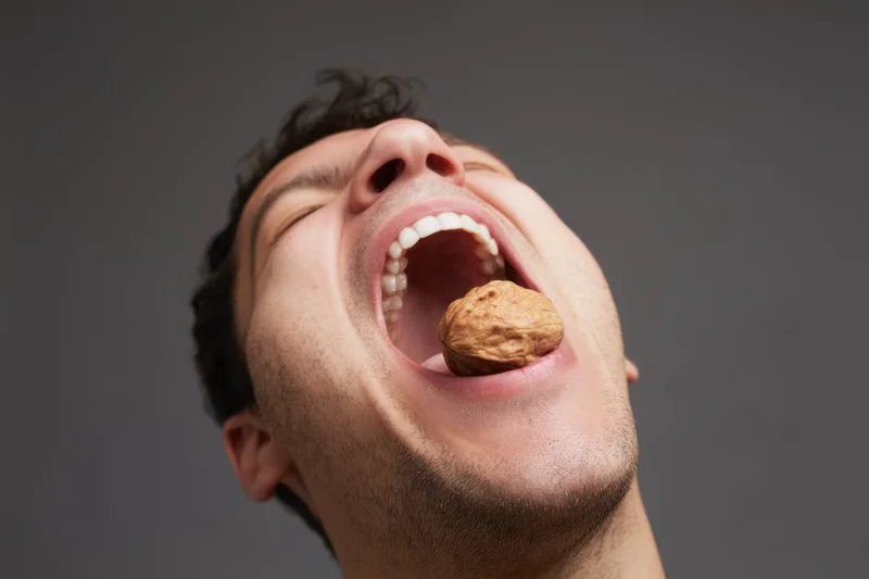 Man with mouth wide open biting into a walnut in studio setting