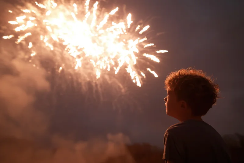 Young boy in silhouette watching fireworks explode in the night sky