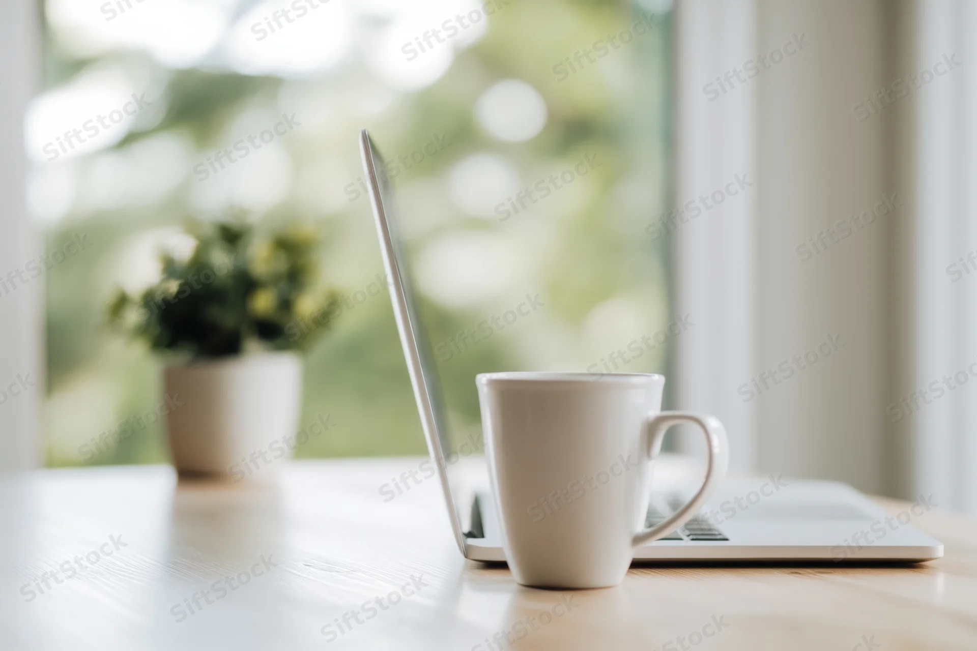 Laptop and white mug on wooden desk by window with plant in background