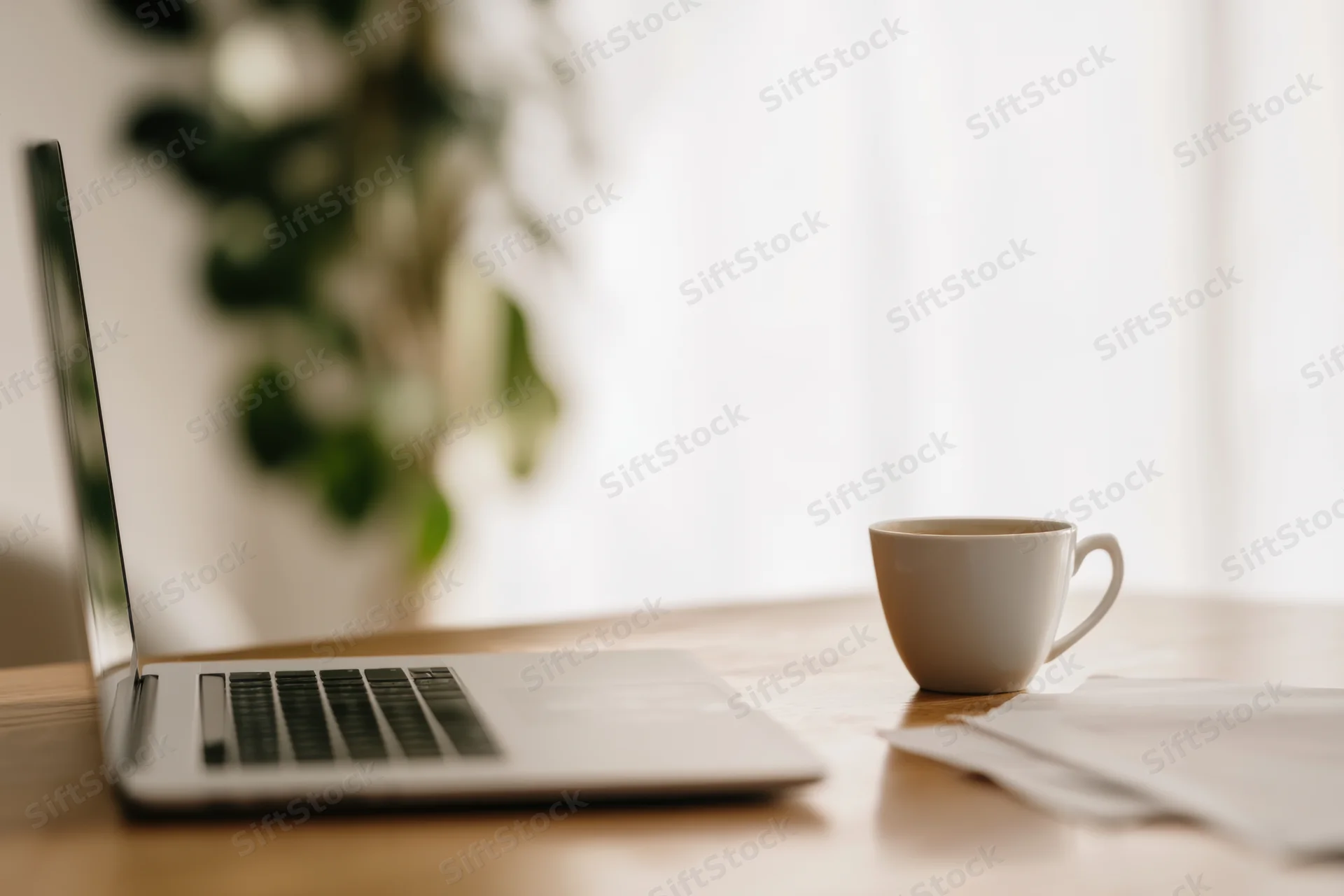 Open laptop and white ceramic coffee mug on wooden table near window with plant in background