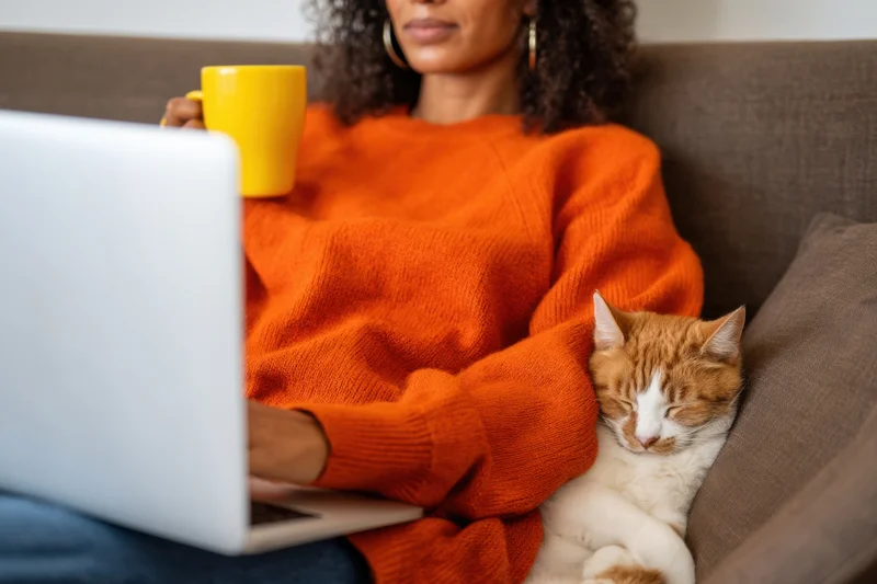Woman working on laptop with cat resting beside her on couch