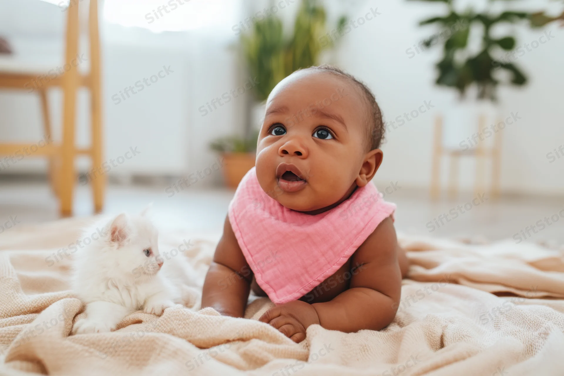 Baby lying on tummy on beige blanket with white kitten beside it indoors