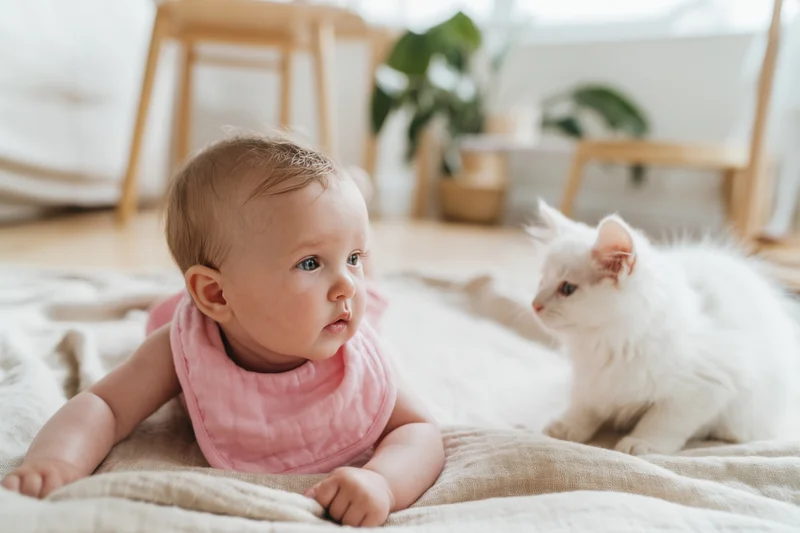 Baby lying on stomach on beige blanket facing white kitten indoors