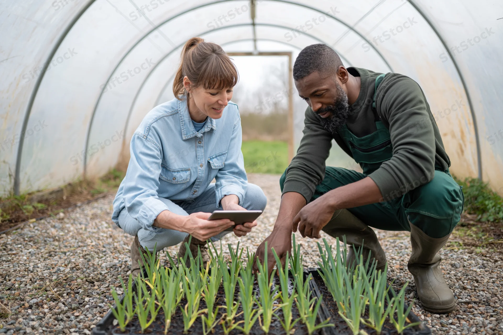 Woman and man crouching in greenhouse inspecting seedlings with tablet