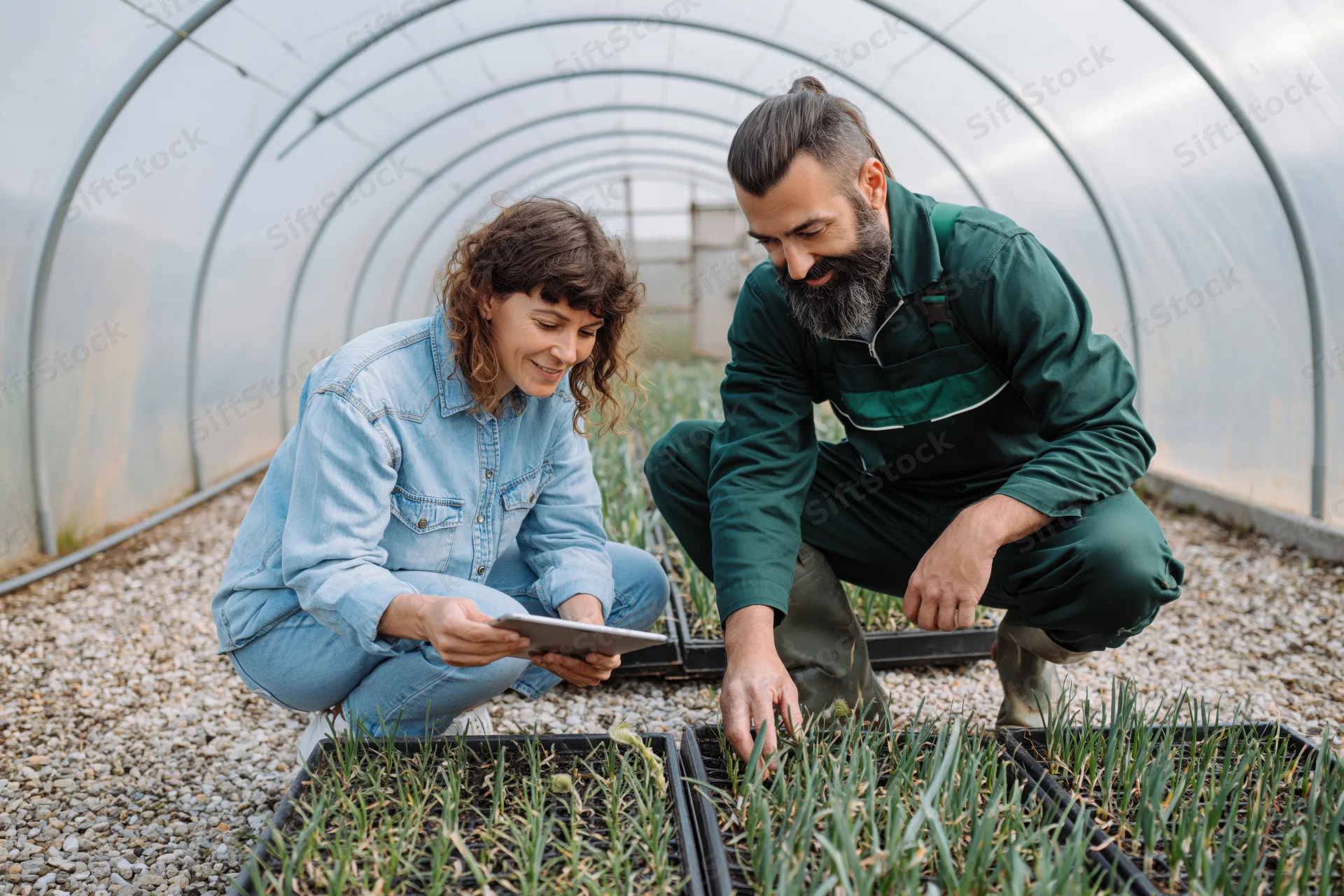 Woman and man crouching in greenhouse examining seedlings in trays while using tablet