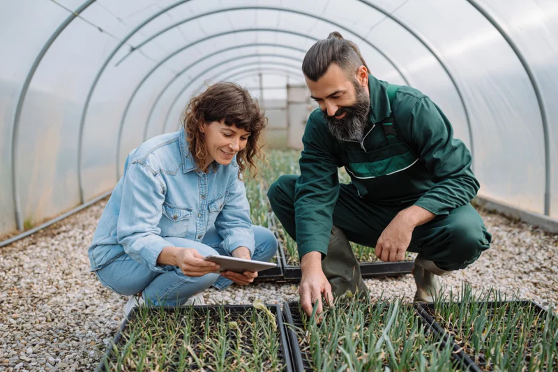 Woman and man crouching in greenhouse examining seedlings in trays while using tablet