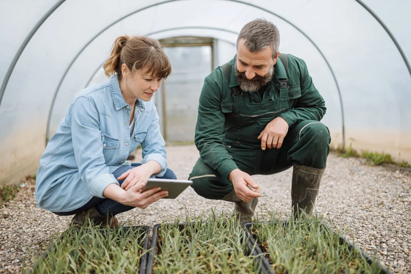 Woman and man crouching in greenhouse inspecting seedlings with tablet