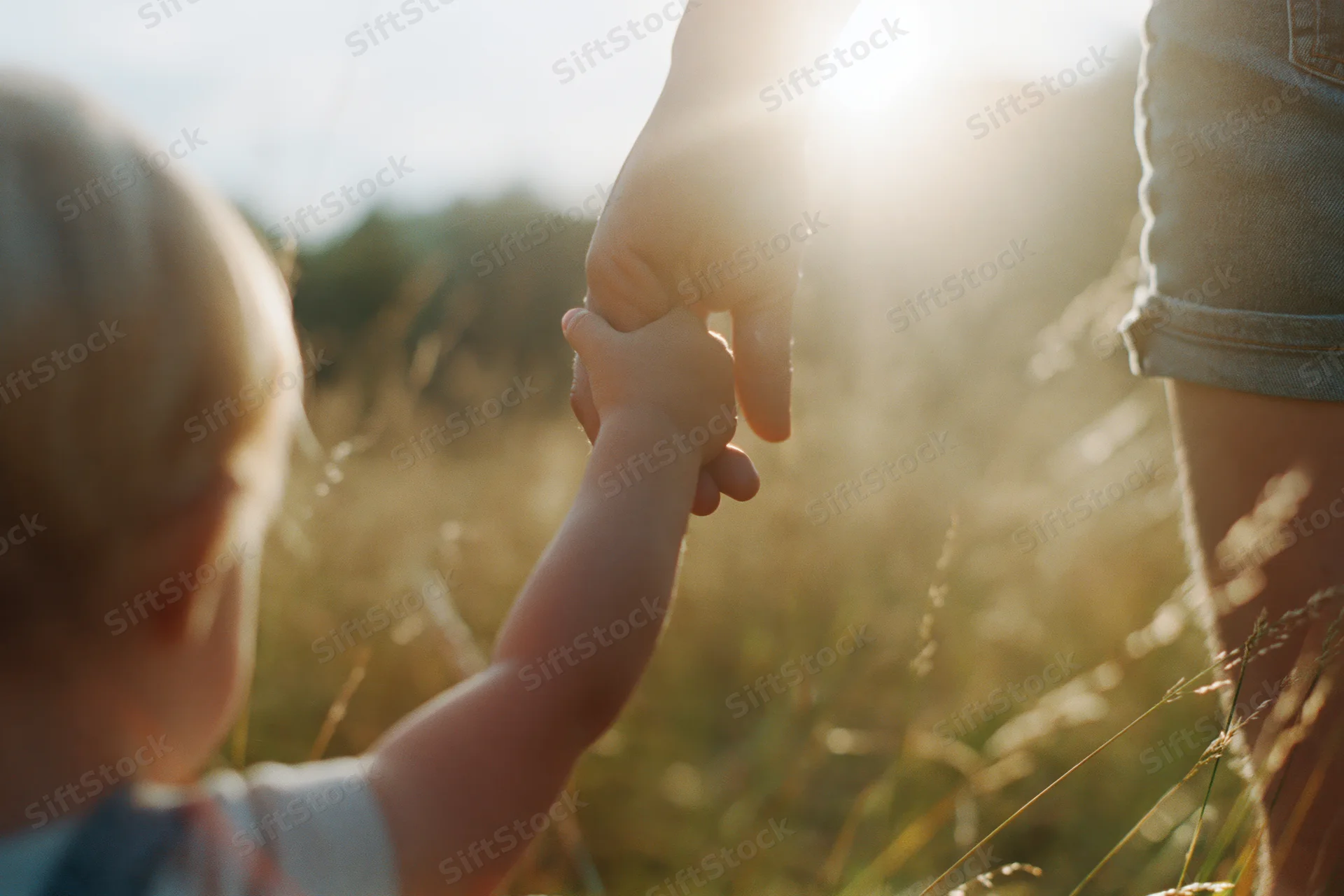 Child holding adult's hand in tall grass meadow at golden hour
