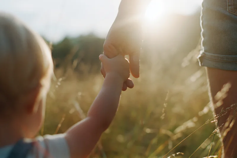 Child holding adult's hand in tall grass meadow at golden hour