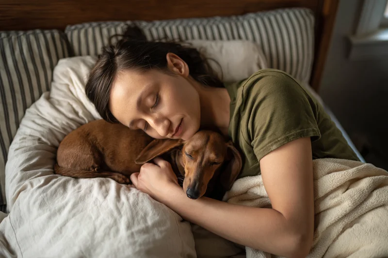 Young woman sleeping peacefully on her side in bed with a dachshund dog cuddled close under a blanket