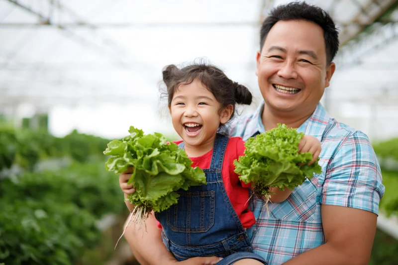 Asian father carrying young daughter on hip inside greenhouse holding fresh lettuce harvest