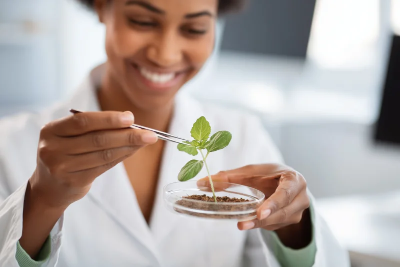 Black female scientist in lab coat examining a small green plant seedling in a petri dish with tweezers in a laboratory setting