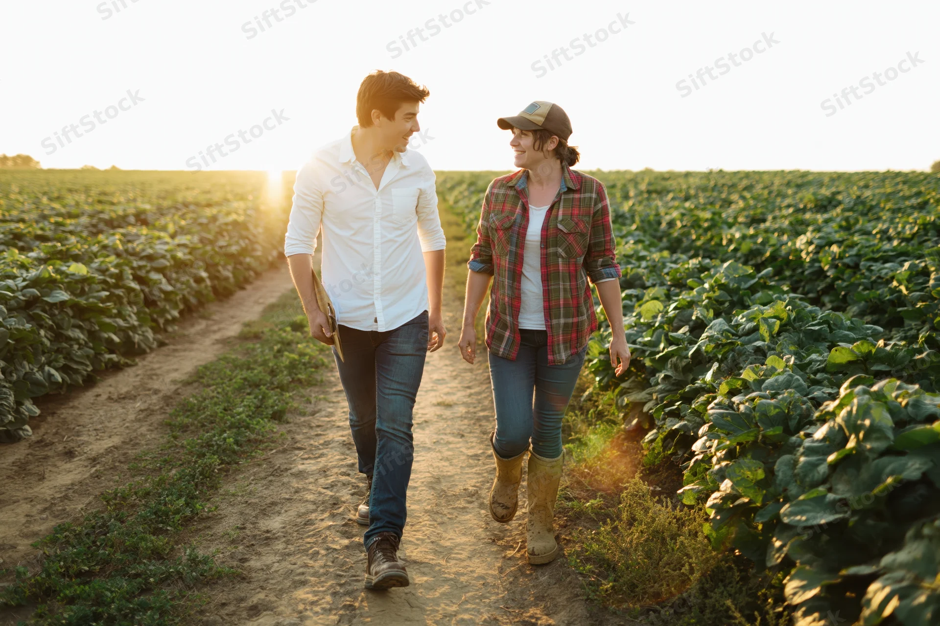 Young couple walking along dirt path between rows of crops in a farm field at sunset
