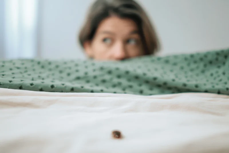 Woman peeking over blanket at bug on bed
