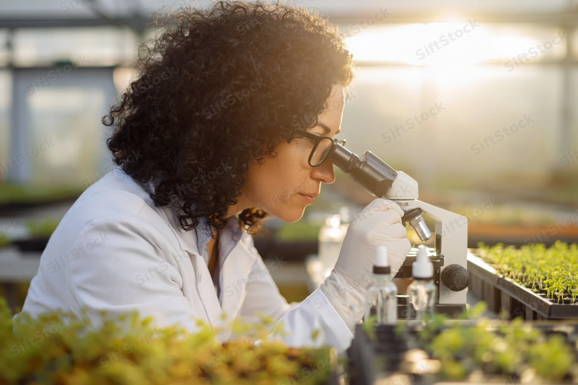 Woman scientist examining plant sample under microscope in greenhouse