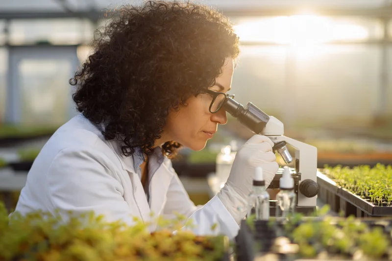 Woman scientist examining plant sample under microscope in greenhouse