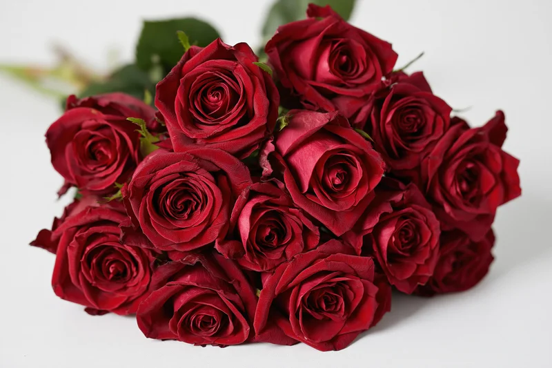 A loose bouquet of deep red roses arranged on a white surface