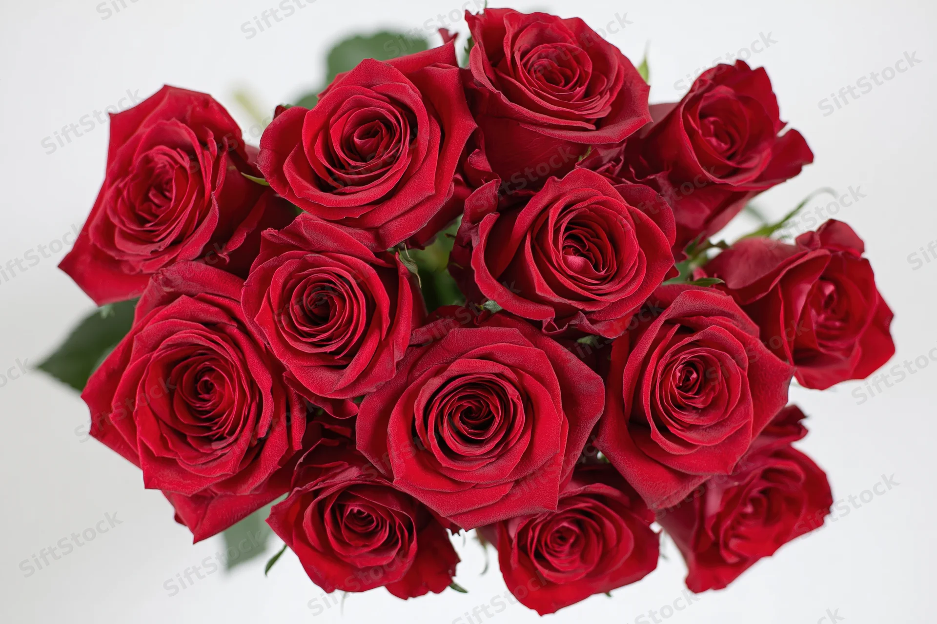 A dozen deep red roses arranged in a loose bouquet against a white background