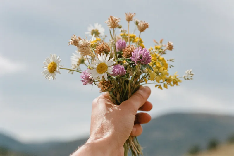 Hand holding a loose bunch of wild foraged flowers against a mountainous sky backdrop