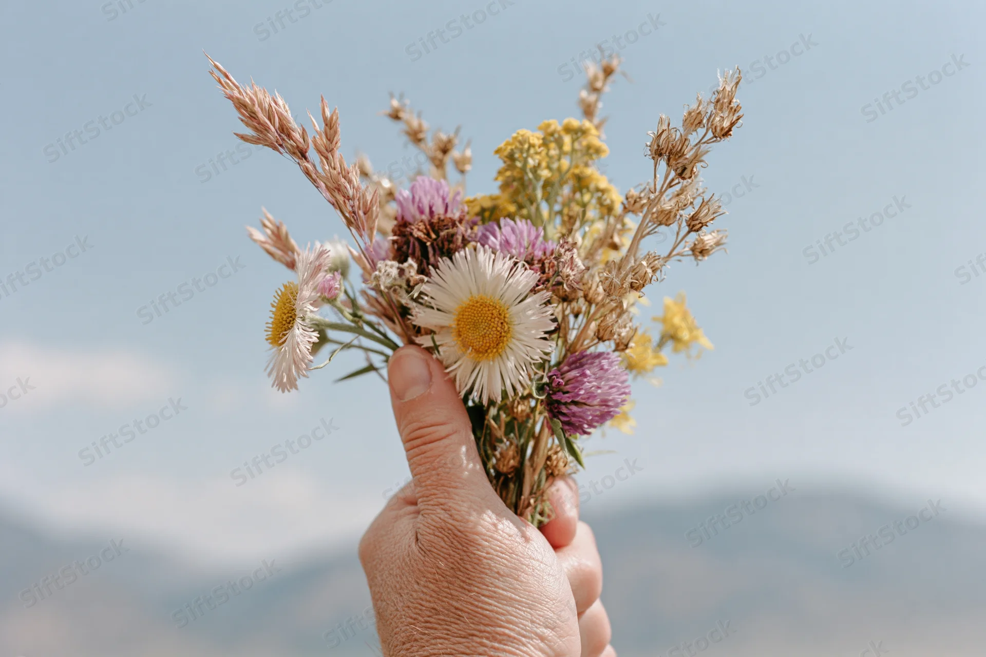 Hand holding a loose bunch of foraged wildflowers against a mountain sky