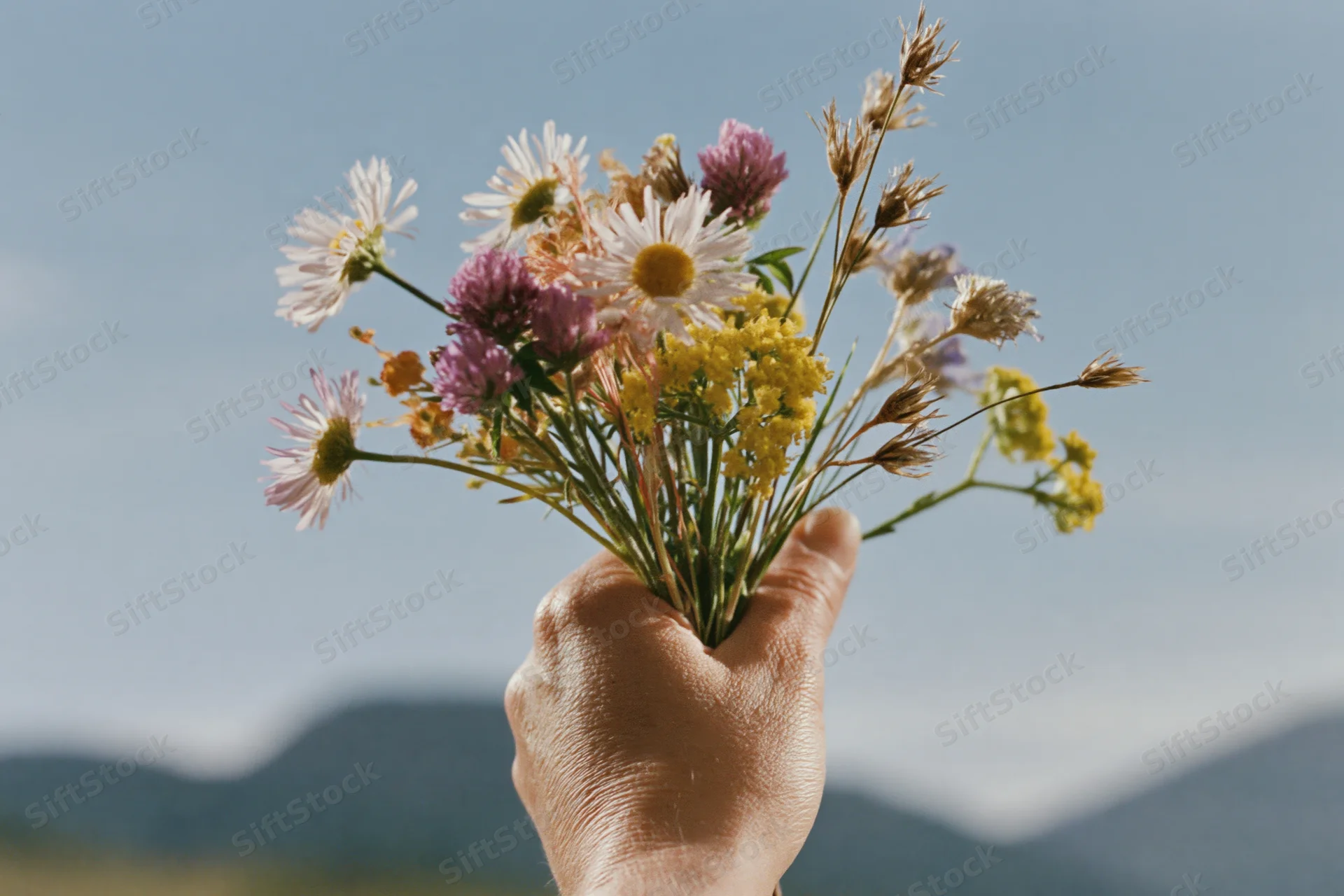 Hand holding a loose bunch of wild foraged flowers against a mountain sky backdrop