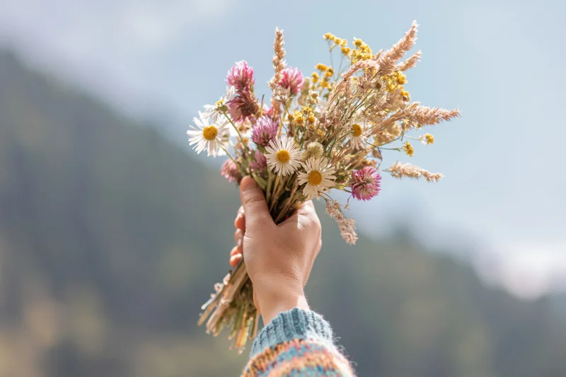 Hand holding a loose bouquet of dried wildflowers and daisies outdoors with mountains in the background