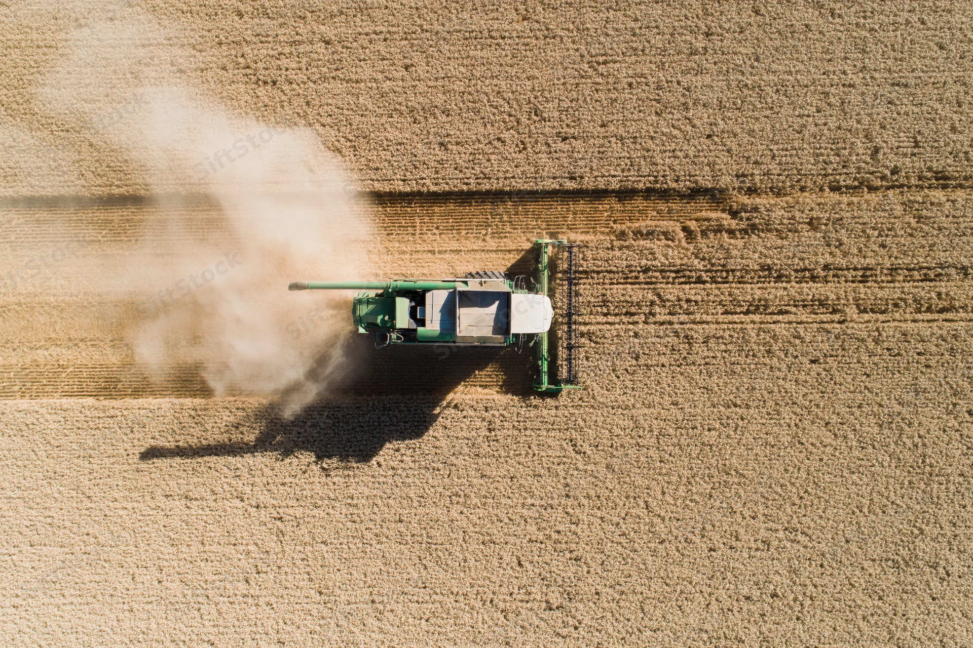 Combine harvester operating in a grain field during harvest