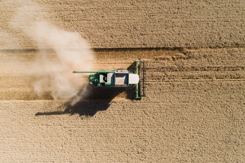 Combine harvester operating in a grain field during harvest