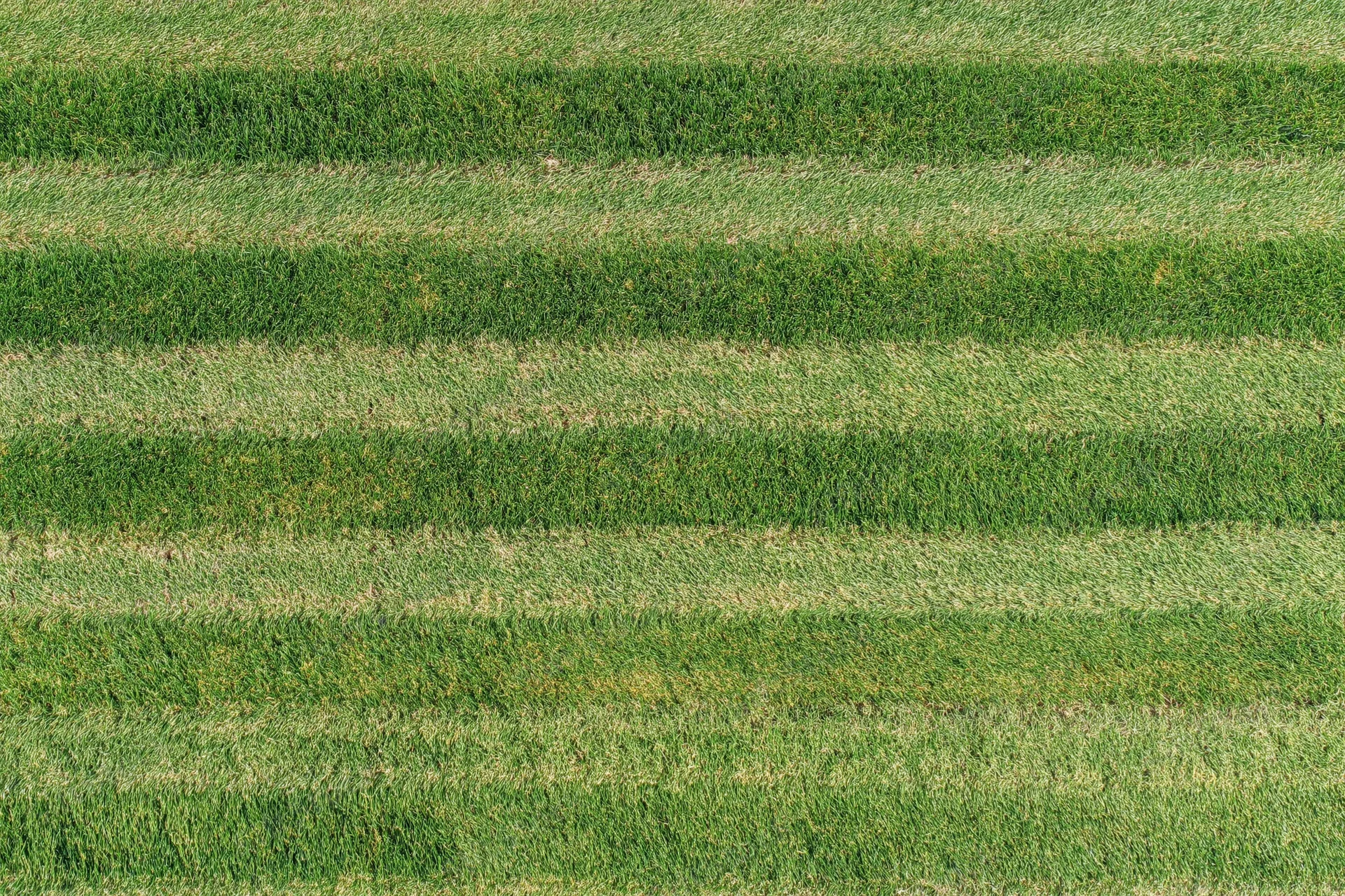 Aerial top-down view of a freshly mowed grass sports field with striped pattern