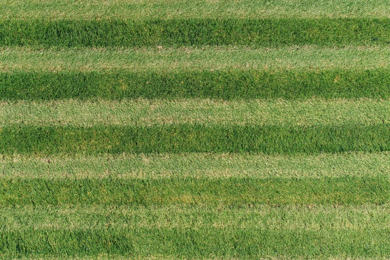Aerial top-down view of a freshly mowed grass sports field with striped pattern