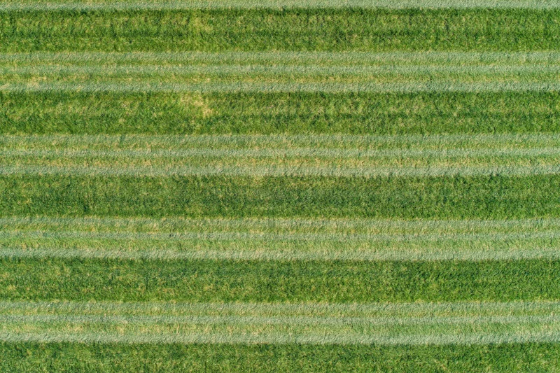 Aerial top-down view of a freshly mowed striped grass sports field