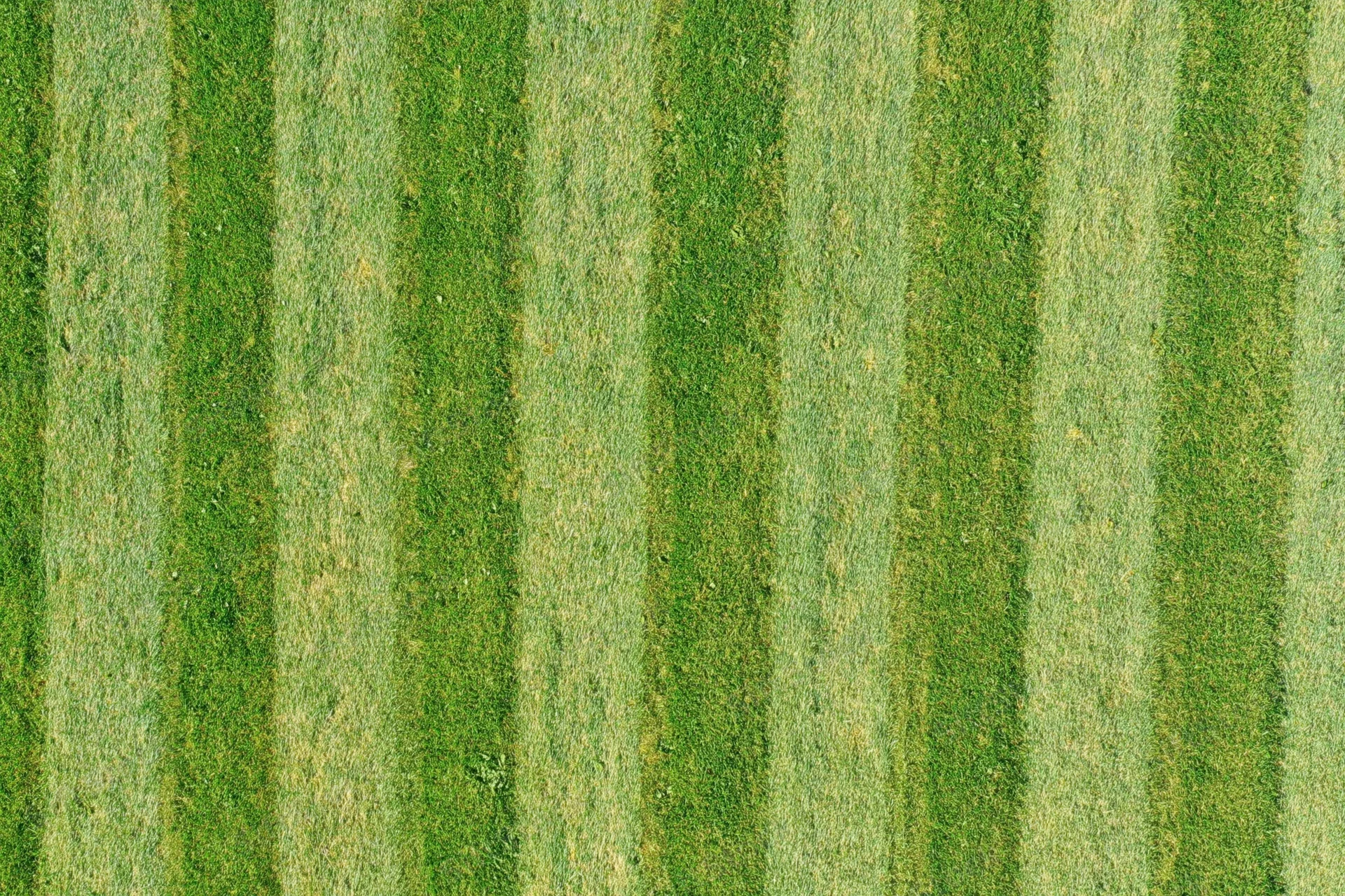 Aerial top-down view of a freshly mowed grass sports field with striped pattern