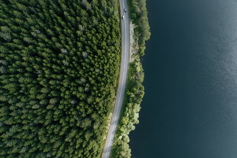 Aerial top-down view of a narrow road winding between dense forest and a dark lake