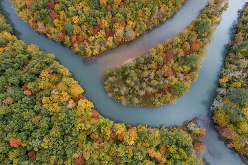 Aerial view of a winding river curving through autumn forest canopy