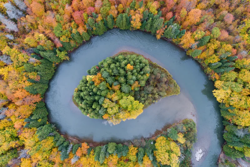 Aerial top-down view of a winding river curving around a small tree-covered island surrounded by autumn forest