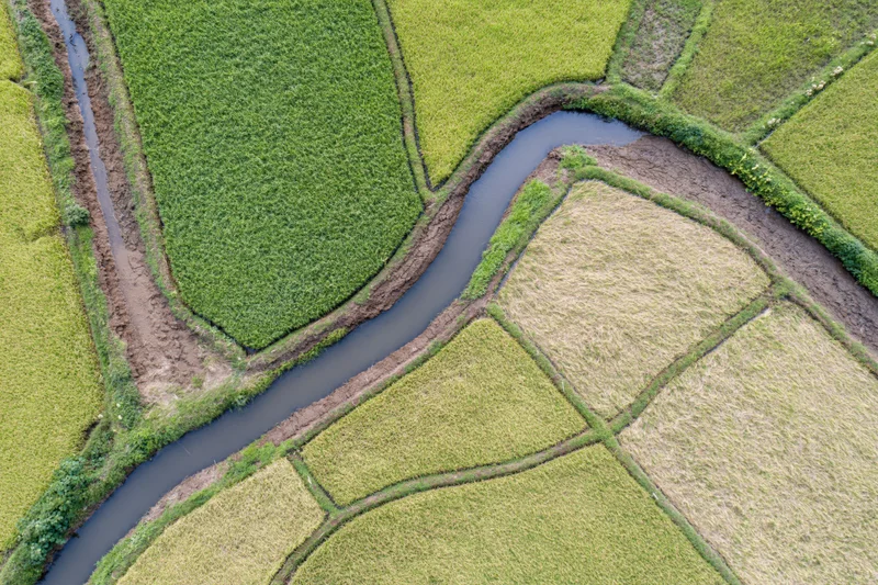 Winding river flowing through patchwork rice paddies from above