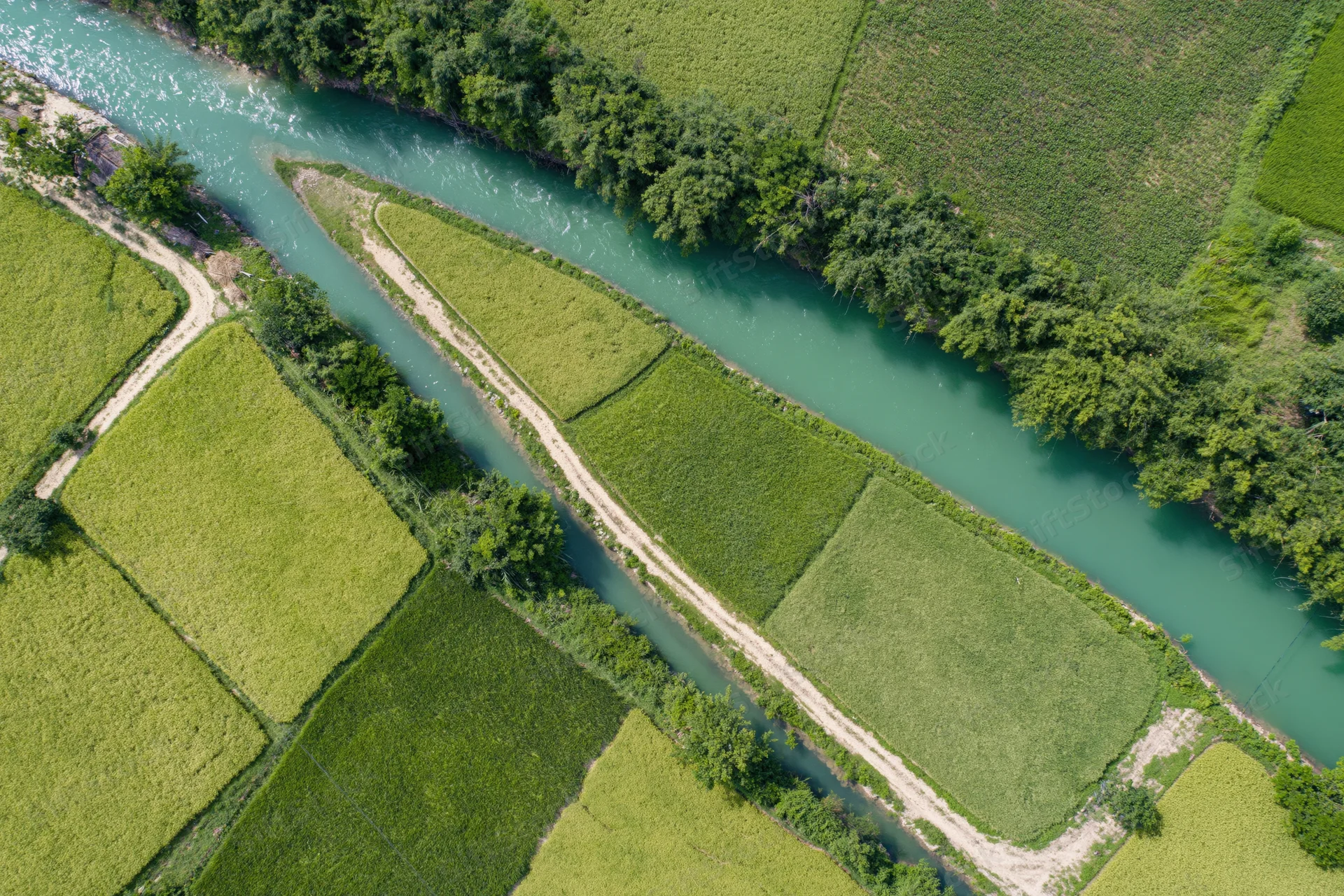 Aerial top-down view of rice fields and river winding through farmland