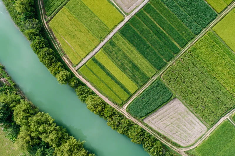 Aerial top-down view of patchwork rice and crop fields divided by a river and dirt paths