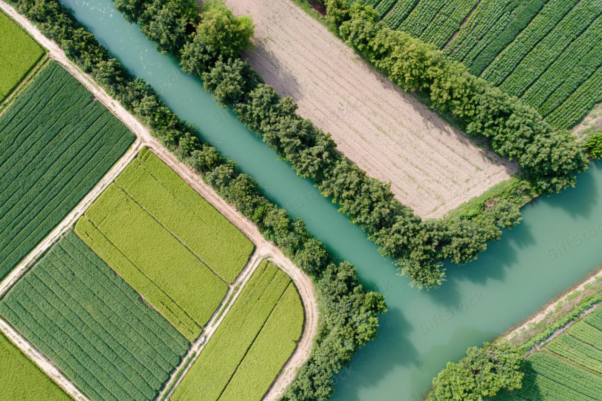 Aerial top-down view of patchwork rice and crop fields divided by a winding canal