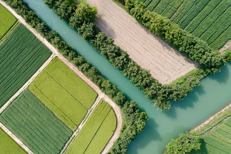 Aerial top-down view of patchwork rice and crop fields divided by a winding canal