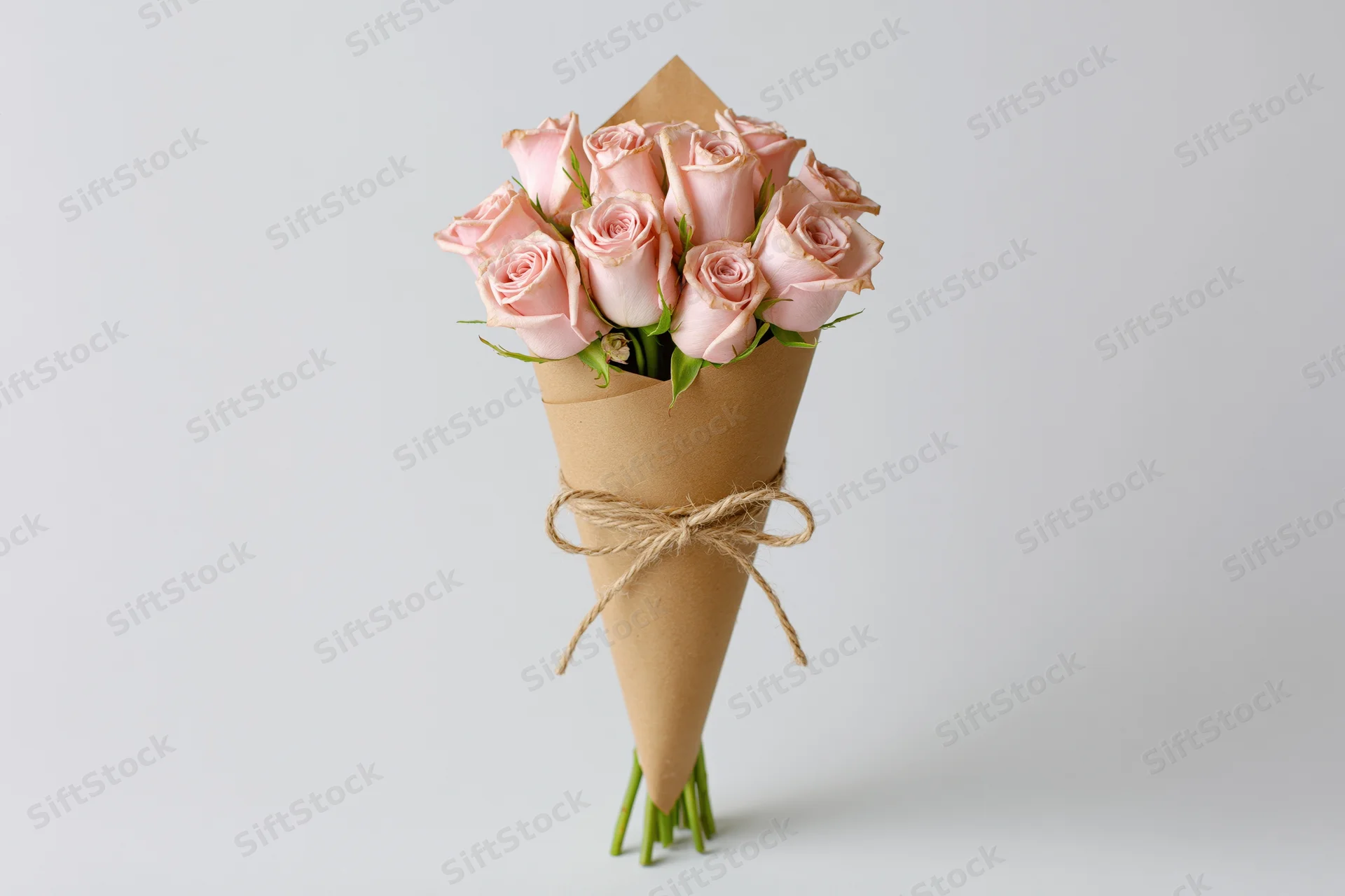 Bouquet of soft pink roses wrapped in kraft paper cone tied with twine on white background