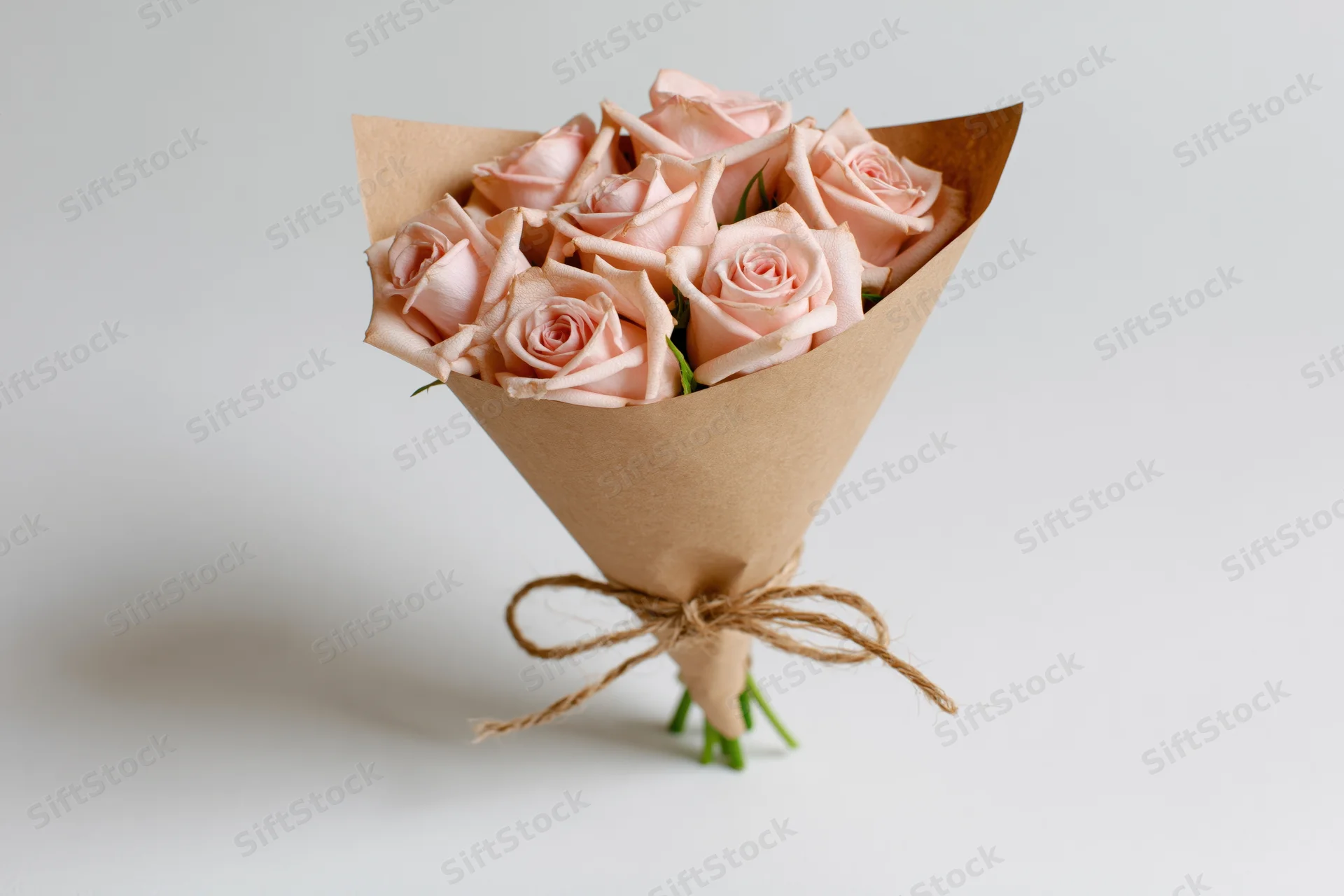 Bouquet of soft pink roses wrapped in kraft paper cone tied with twine on white background