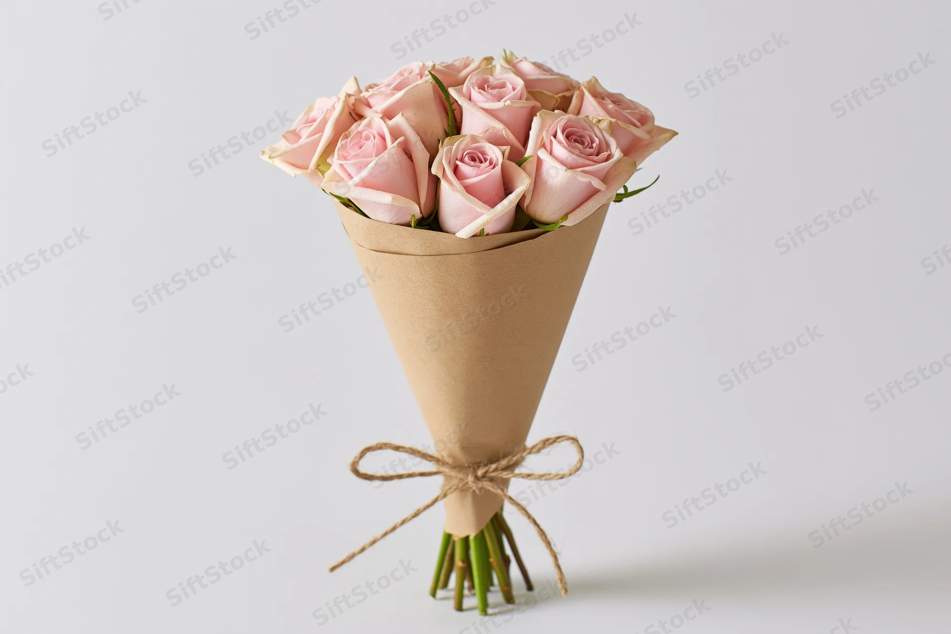 Bouquet of soft pink roses wrapped in kraft paper cone tied with twine on white background