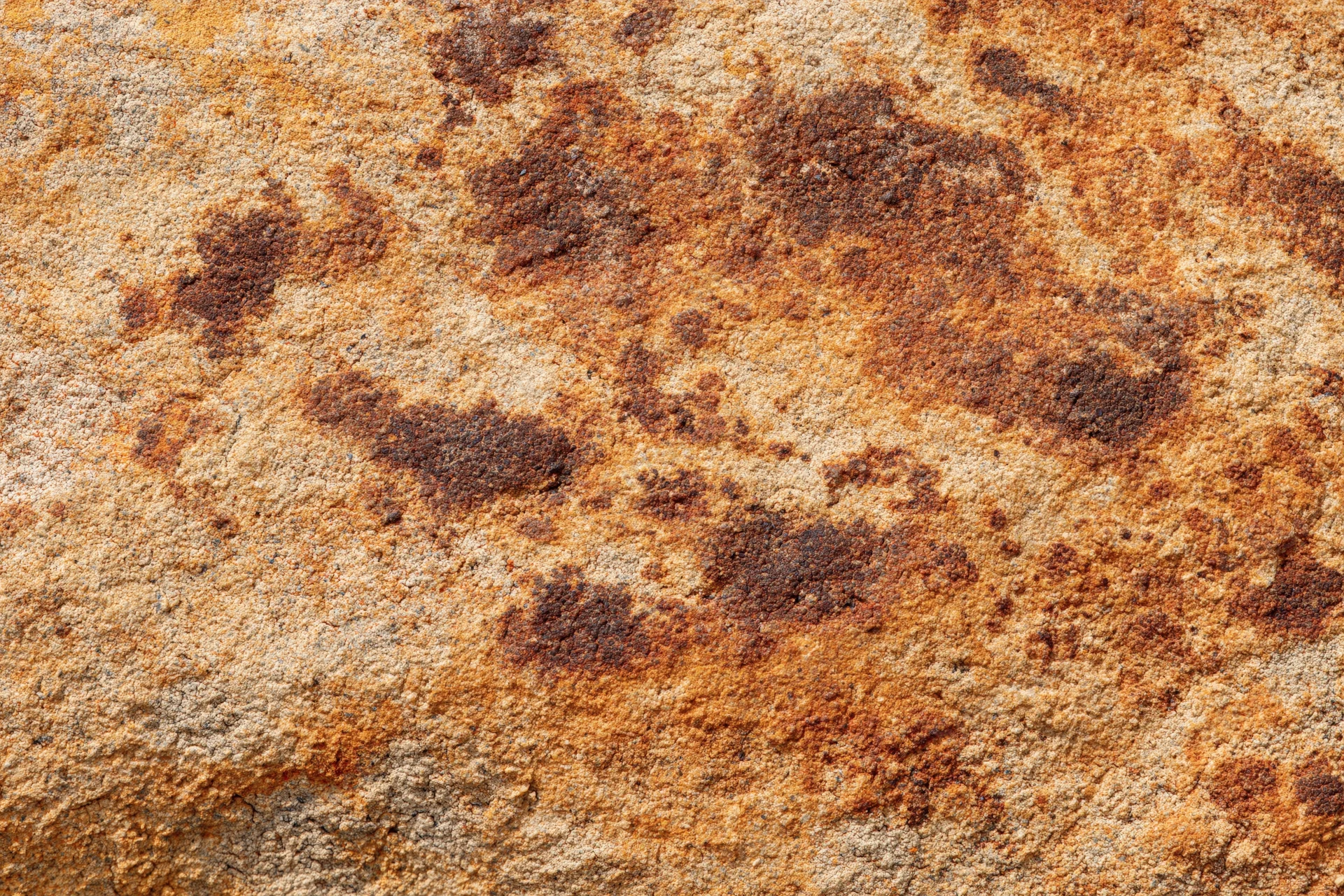 Close-up of weathered sandstone rock surface showing natural texture and erosion patterns