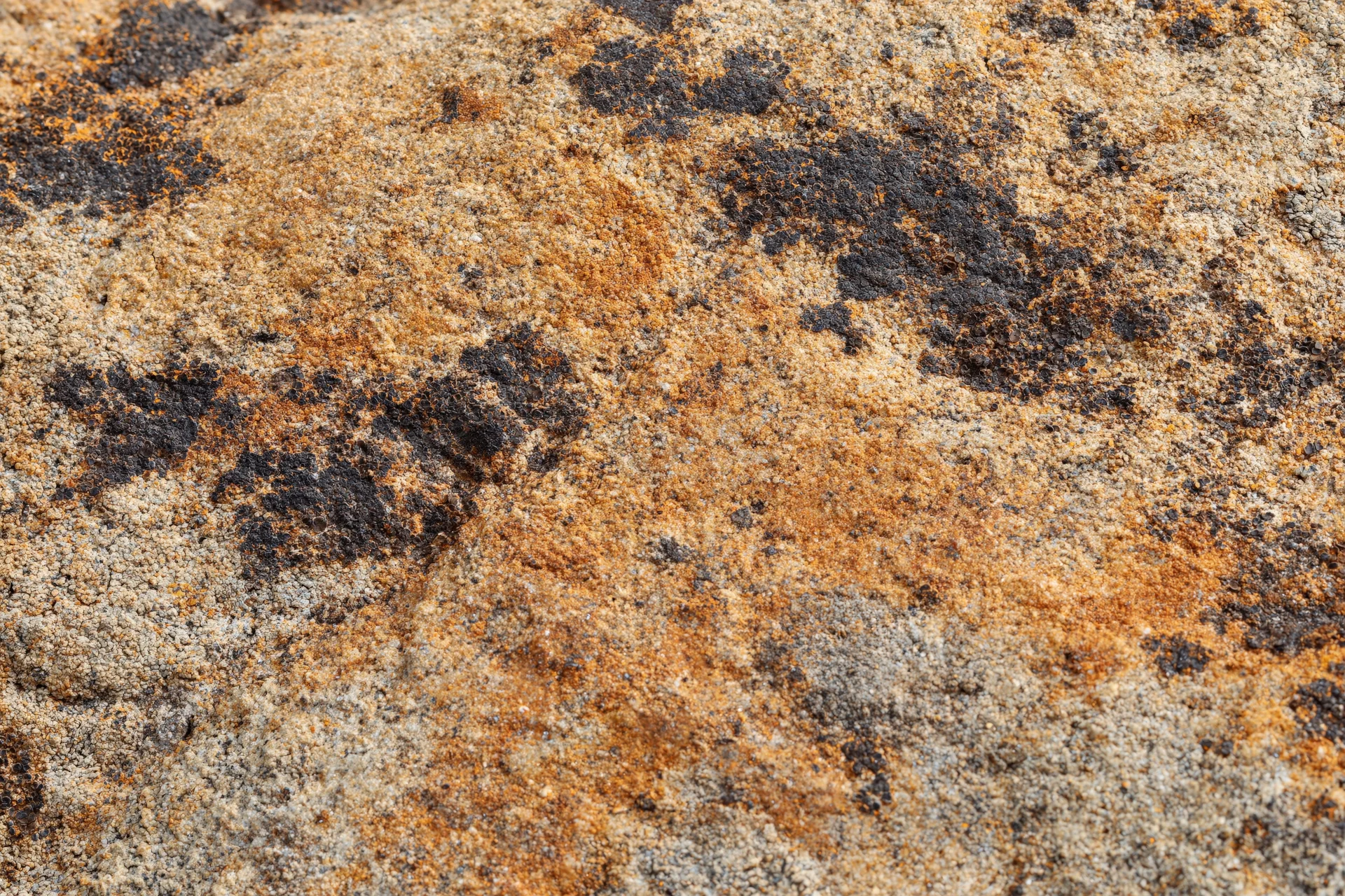 Close-up of weathered sandstone rock surface showing natural texture and erosion patterns