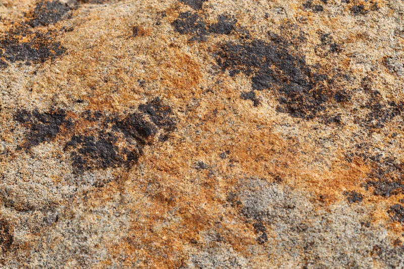 Close-up of weathered sandstone rock surface showing natural texture and erosion patterns