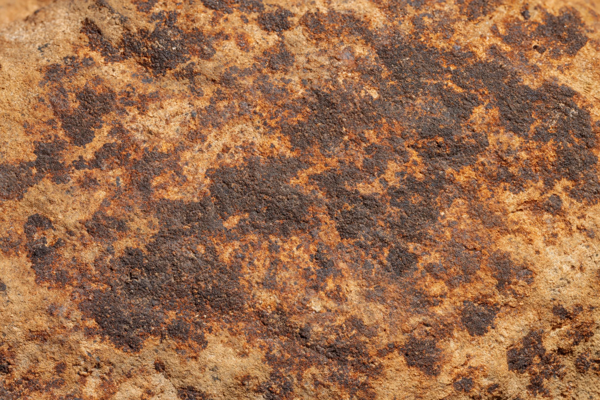 Close-up of weathered sandstone rock surface showing natural texture and erosion patterns