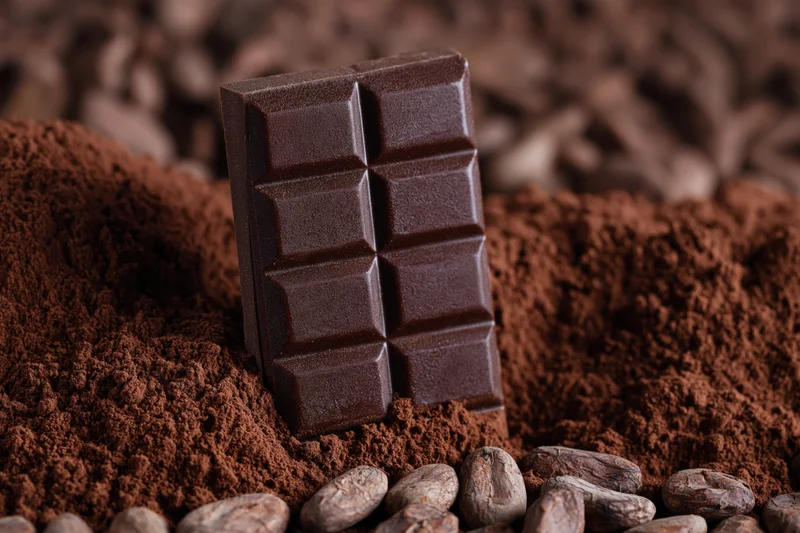 Dark chocolate bar standing upright in cocoa powder with cocoa beans around