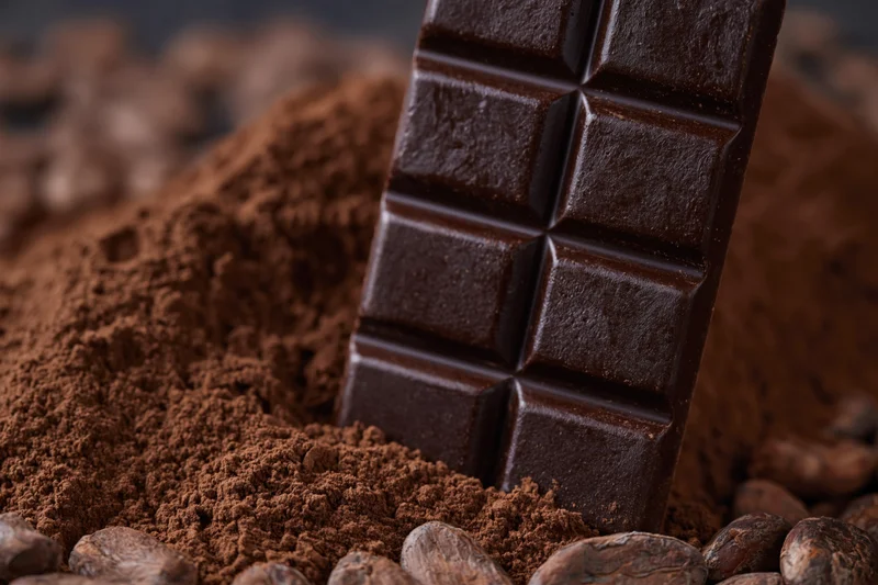 Dark chocolate bar standing upright in a pile of cocoa powder surrounded by cocoa beans