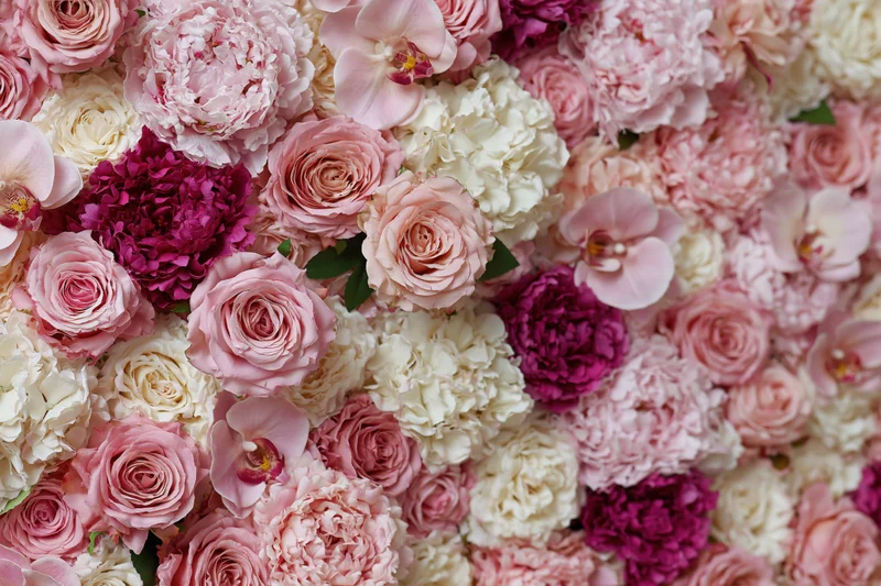 Dense floral wall arrangement of pink roses, white peonies, and magenta orchids for event decoration